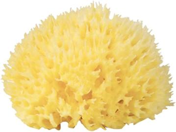 Bellini Bab&ugrave; Honeycomb Sea Sponge Yellow Size-(18) Piece Of One