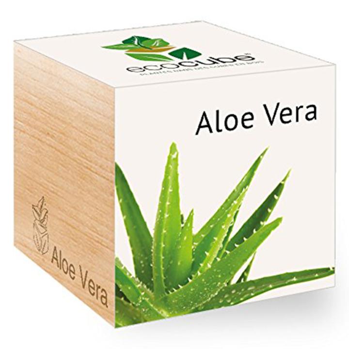 Feel Green Ecocube Aloe Vera - Multicolor