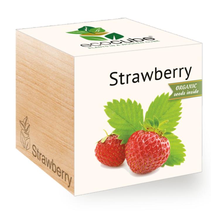 Feel Green Ecocube Strawberry - Multicolor