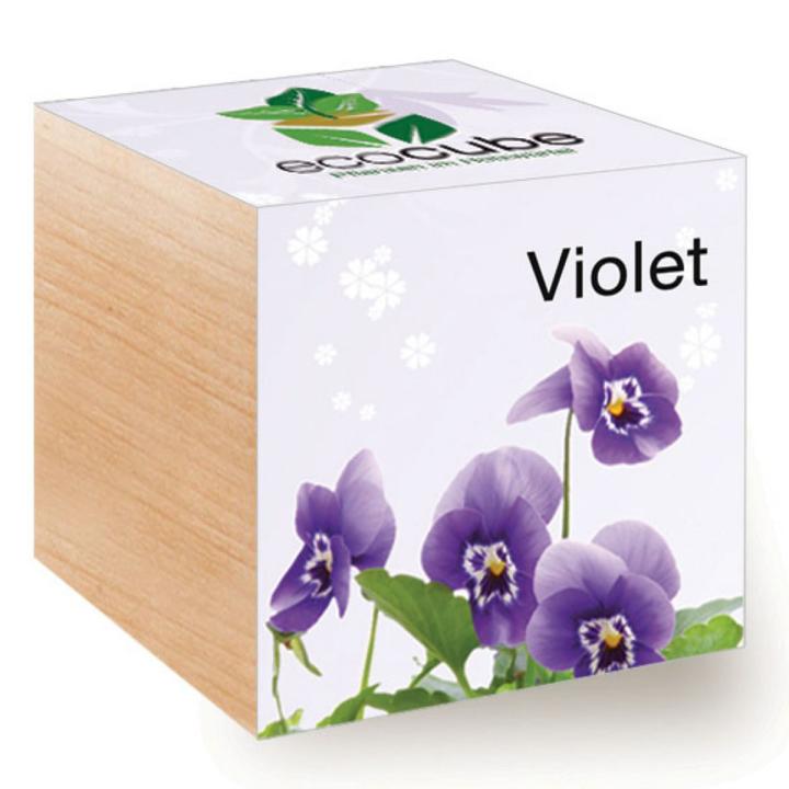 Feel Green Ecocube Violet - Multicolor