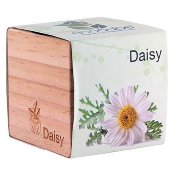 Feel Green Ecocube Daisy - Multicolor