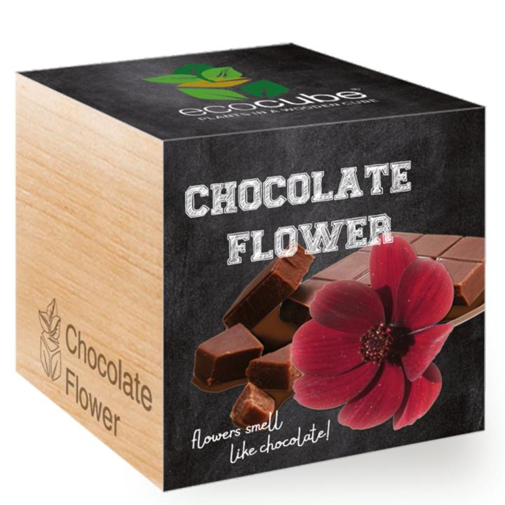 Feel Green Ecocube Chocolate Flower - Multicolor