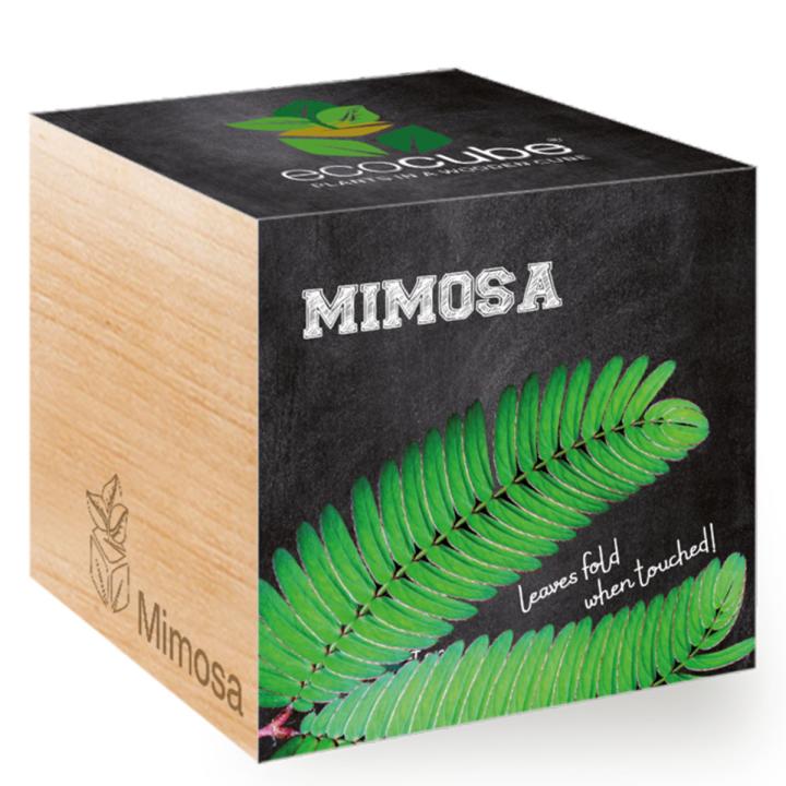 Feel Green Ecocube Mimosa - Multicolor