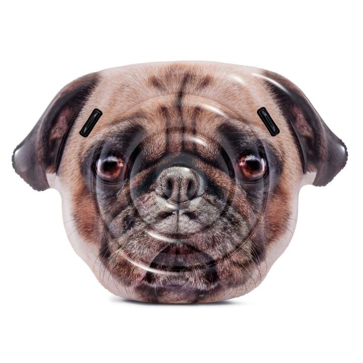 Intex Pug Face Island