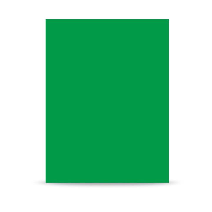 Visico Paper Backgound 2.75X10M Green